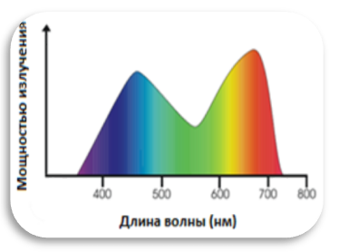 Спектр облучения, наиболее благоприятный для фотосинтеза